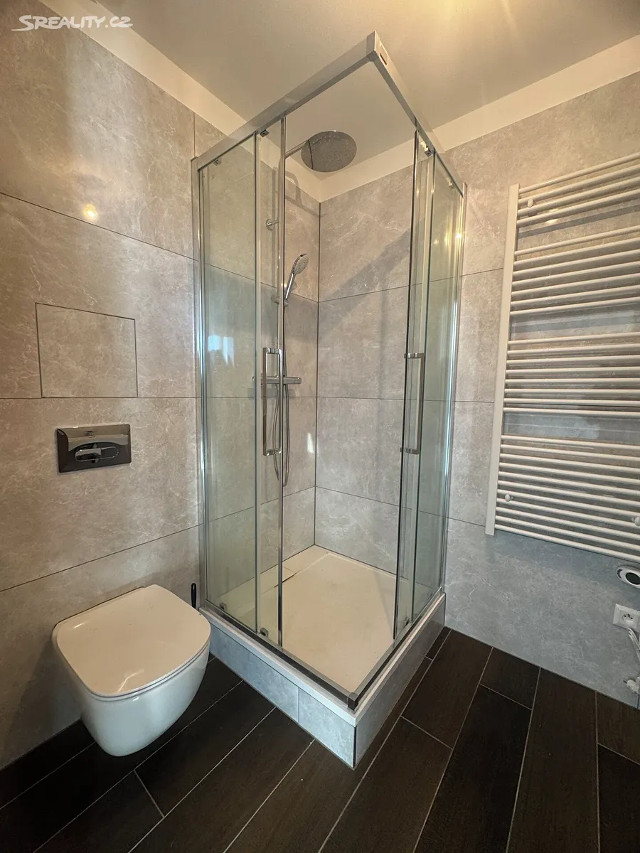 Pronájem bytu 2+1 54 m² - Widok 4
