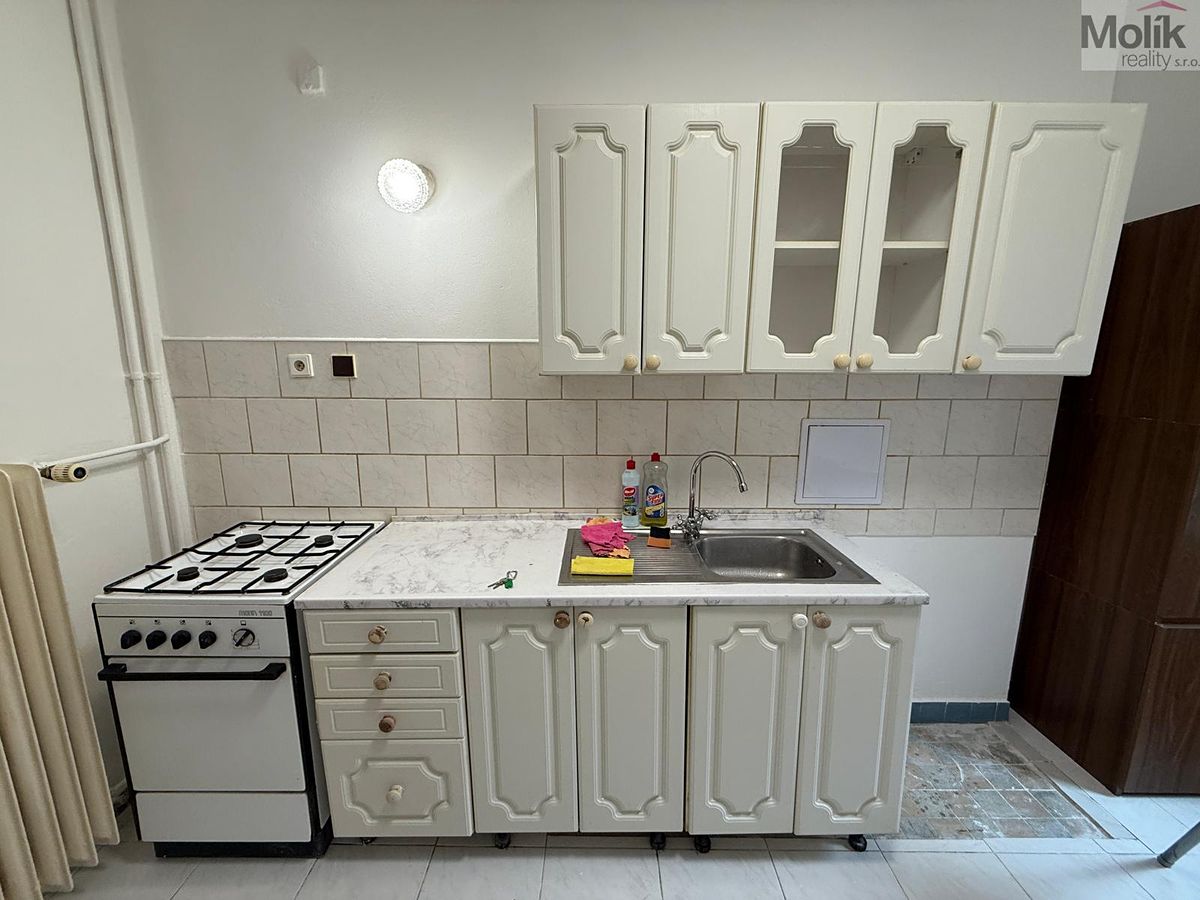 Pronájem bytu 1+1 35 m²
