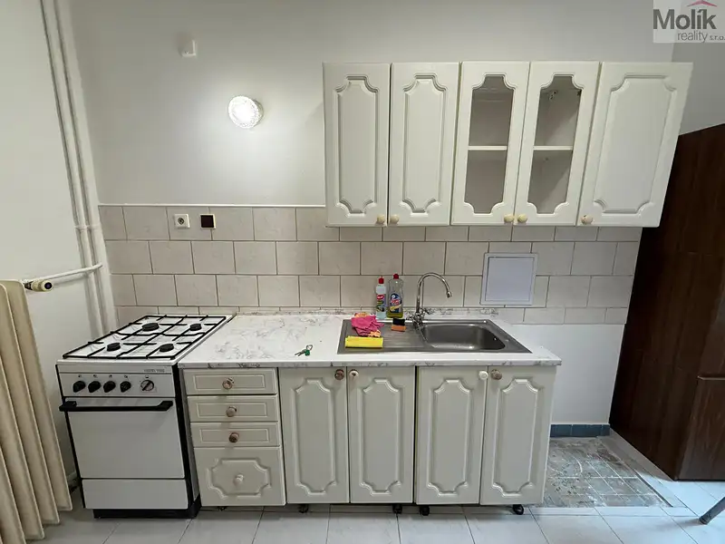 Pronájem bytu 1+1 35 m², Most – náhled fotky 1