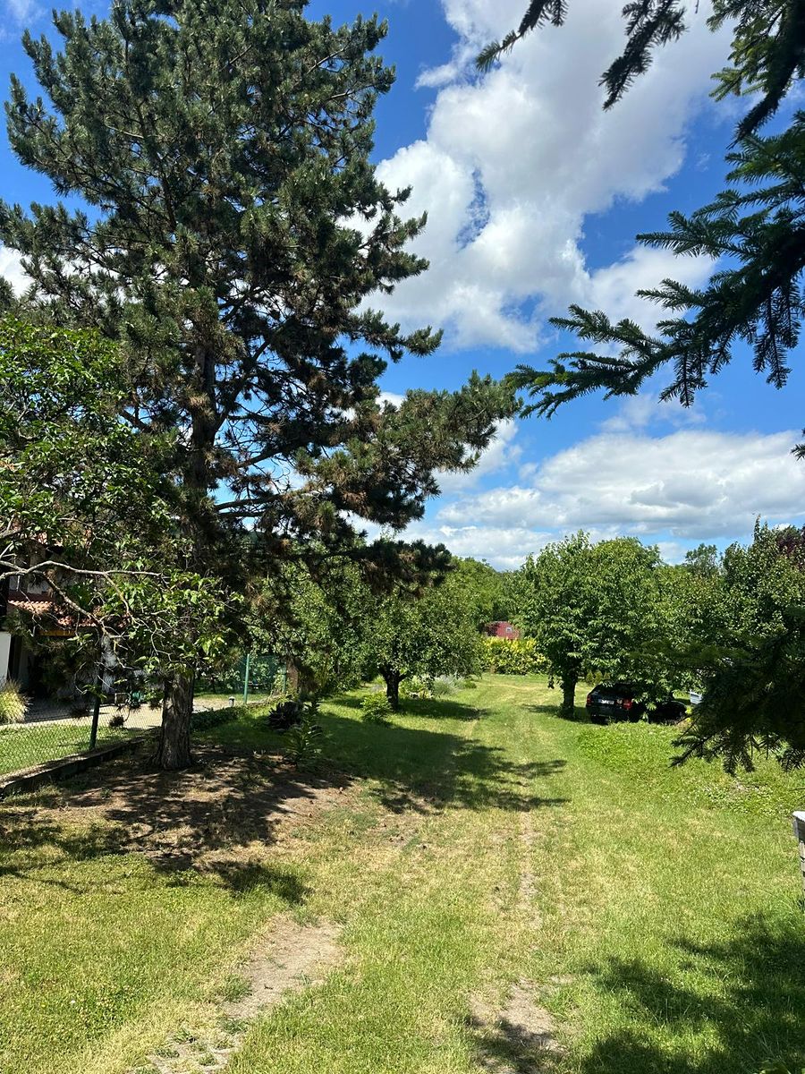 Prodej stavebního pozemku 1920 m² – fotografie 3