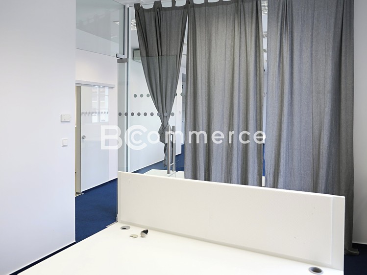Pronájem komerčního prostoru, 149 m² (10 z 10)