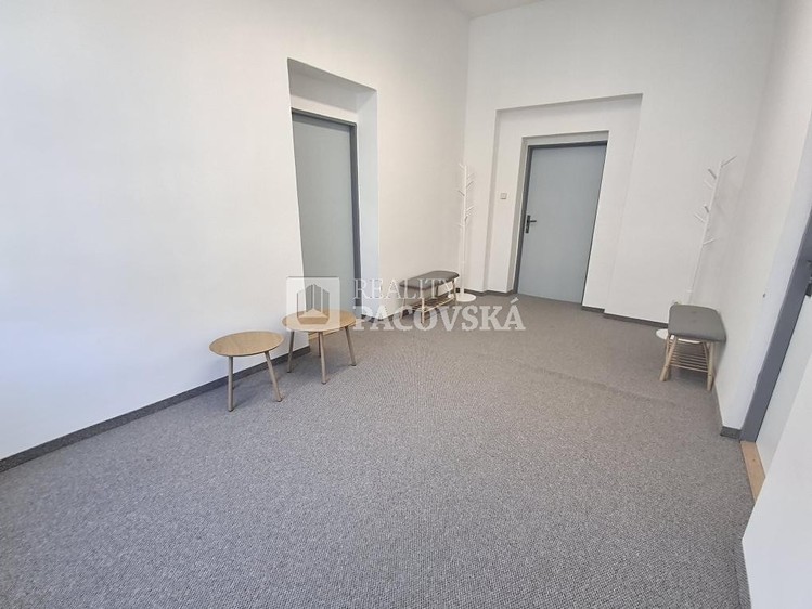 Pronájem komerčního prostoru, 118 m² (16 z 21)