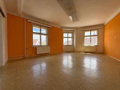 Gewerbefläche zur Miete, 44 m² (2 von 9)