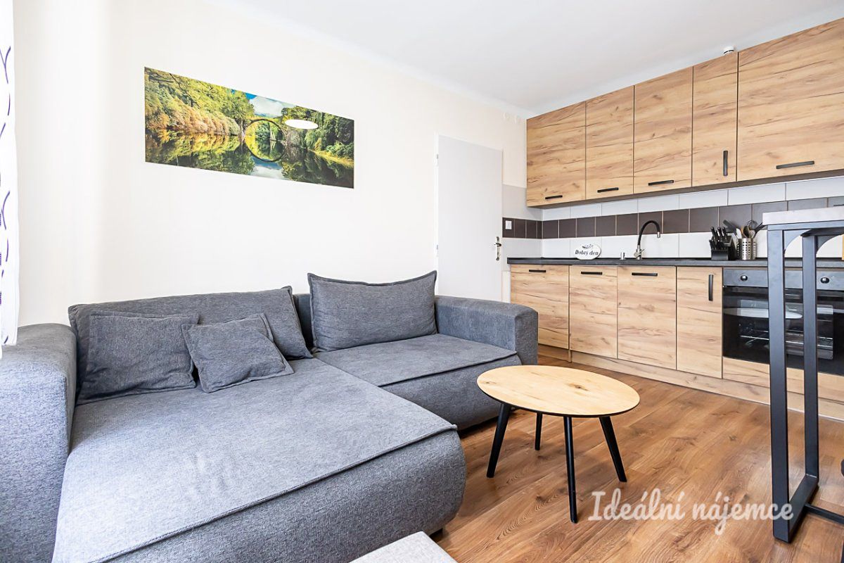 Pronájem bytu 1+1 33 m²