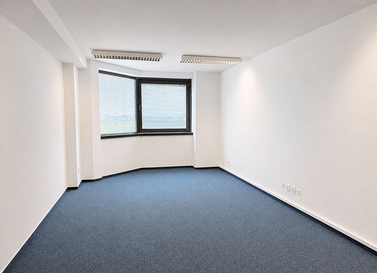Pronájem kanceláře 350 m² – fotografie 3