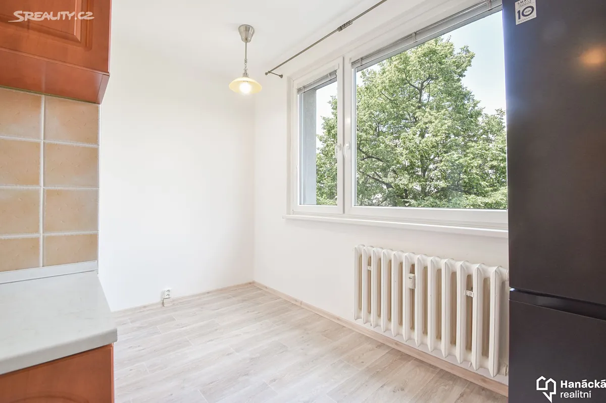 Pronájem bytu 2+1 54 m² – pohled 4
