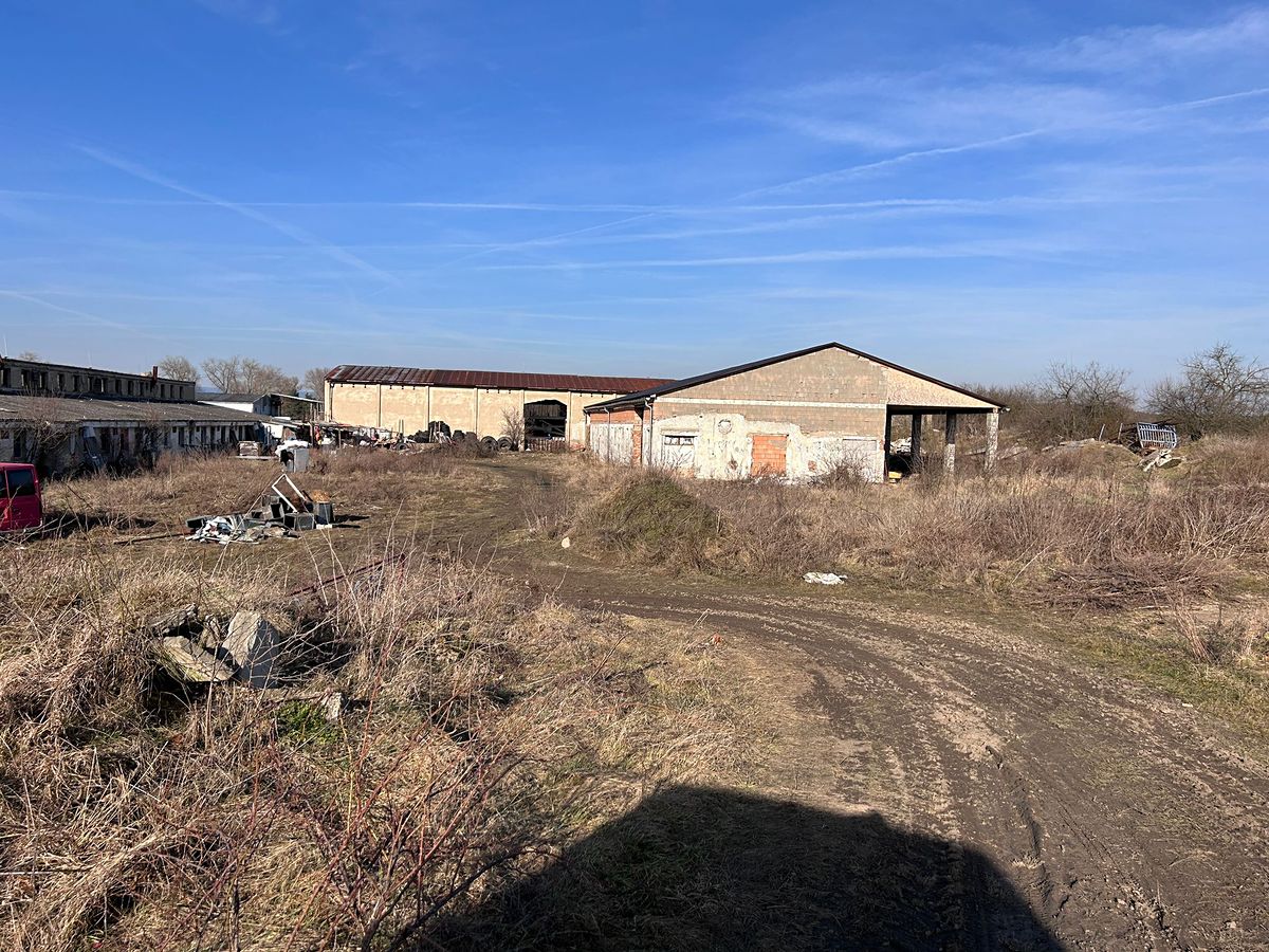 Prodej komerčního pozemku 5430 m² – fotografie 4