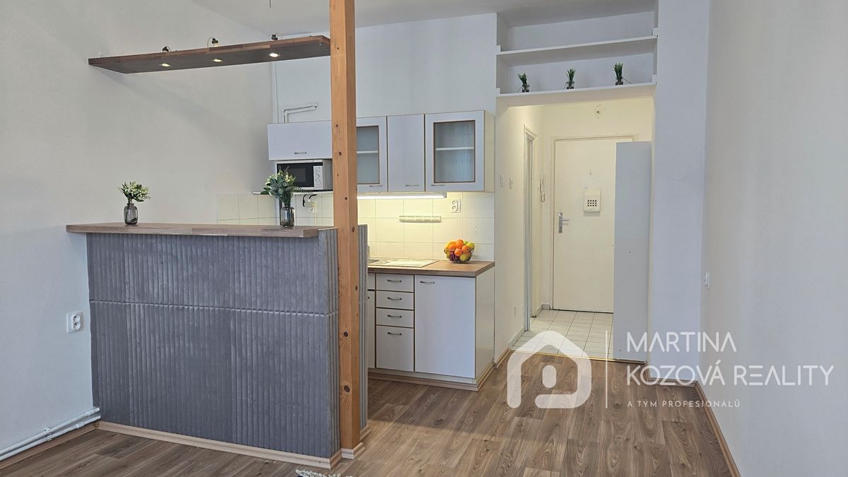 Pronájem bytu 1+kk 24 m²