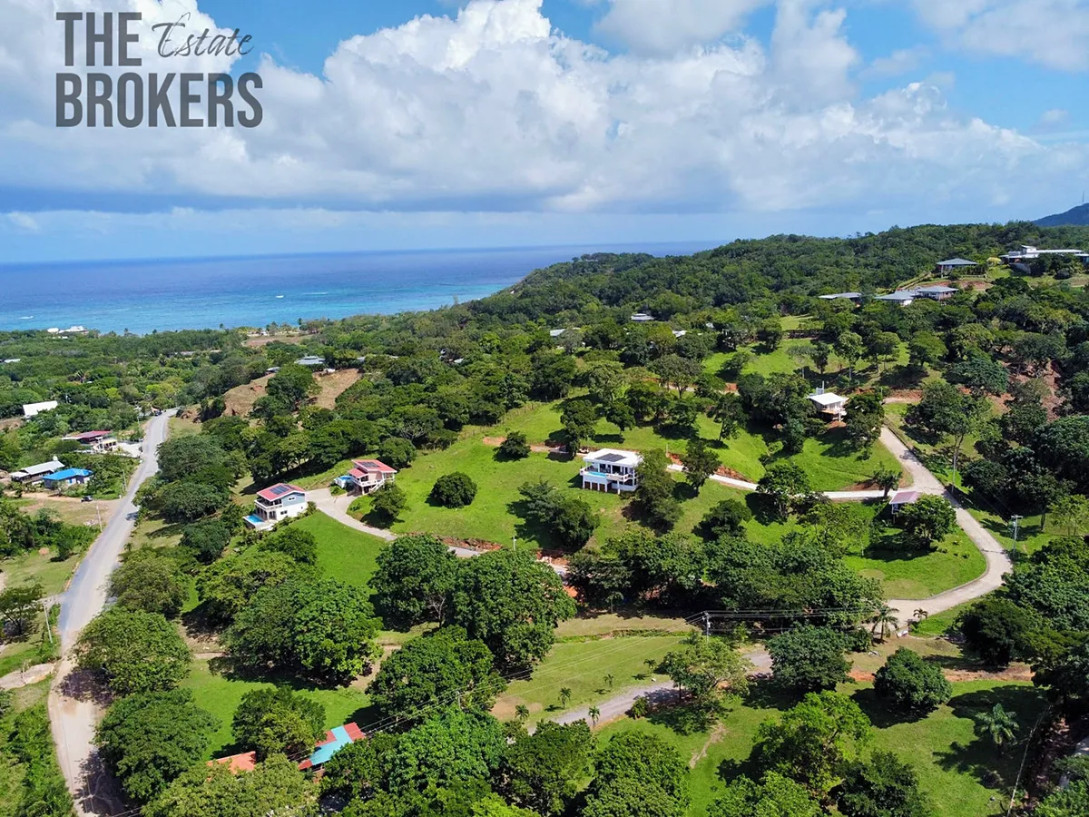 Fotka 9 z 30