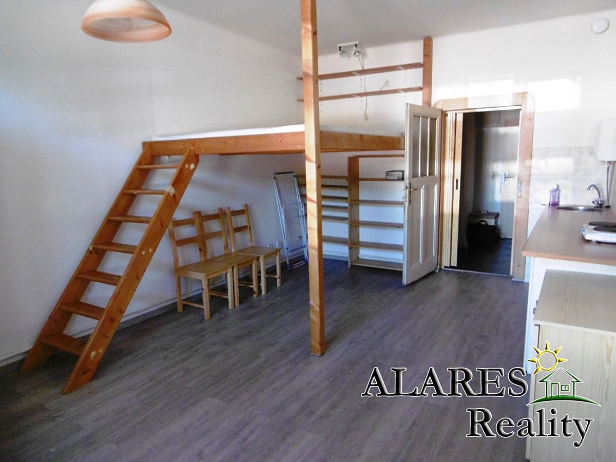 Pronájem bytu 1+kk 29 m²