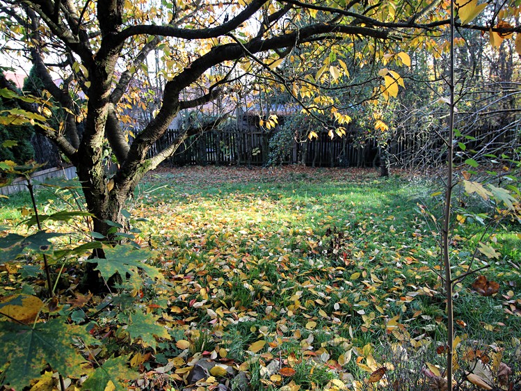 Grundstück zum Kauf, 572 m² (5 von 5)