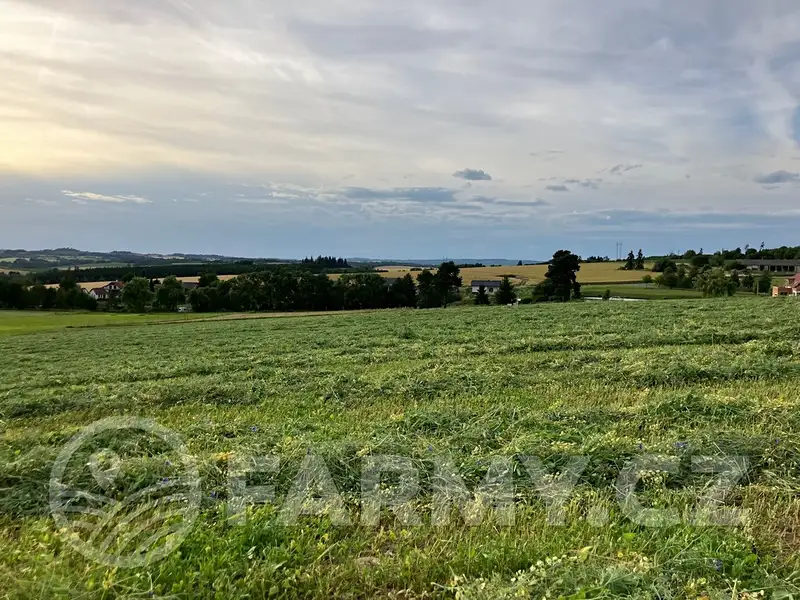 Prodej pole 71148 m², Cerekvička-Rosice – náhled fotky 2