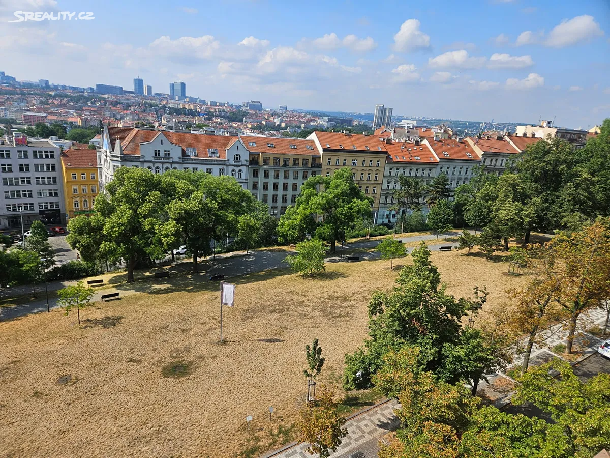 Pronájem bytu 2+1 97 m² – pohled 5