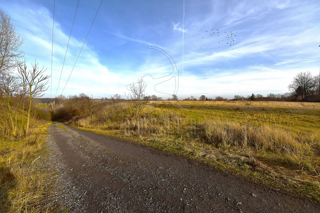 Prodej komerčního pozemku 80085 m² – fotografie 5