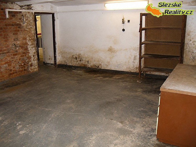 Pronájem komerčního prostoru, 160 m² (15 z 20)