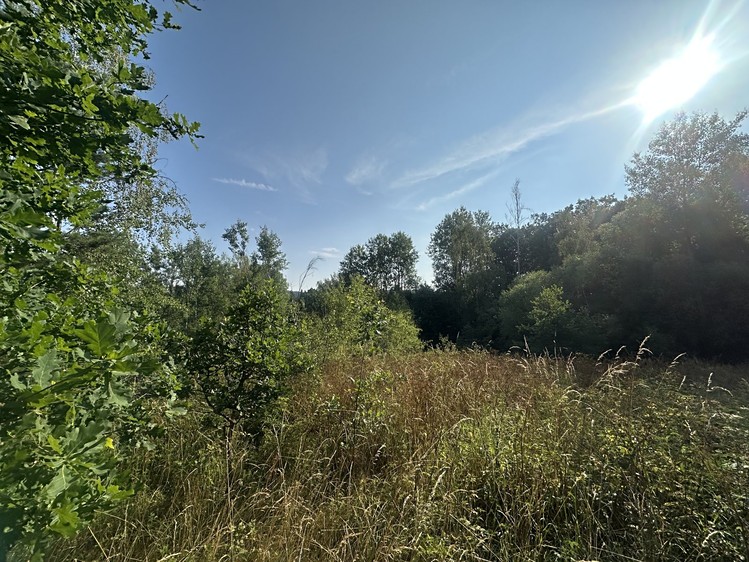 Grundstück zum Kauf, 3.546 m² (3 von 3)