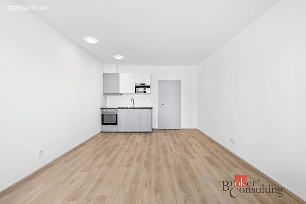 Pronájem bytu 1+kk 33 m² - Widok 3