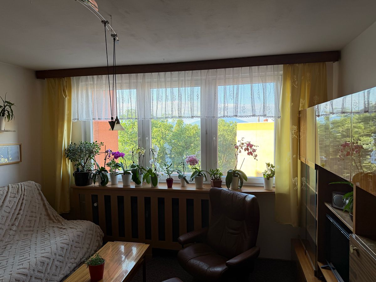 Prodej bytu 1+kk 32 m² – fotografie 3