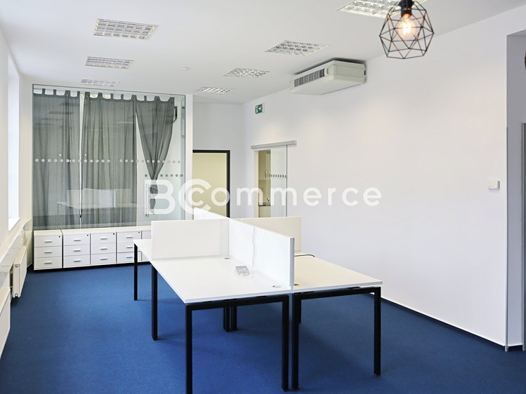 Pronájem komerčního prostoru, 149 m² (9 z 10)