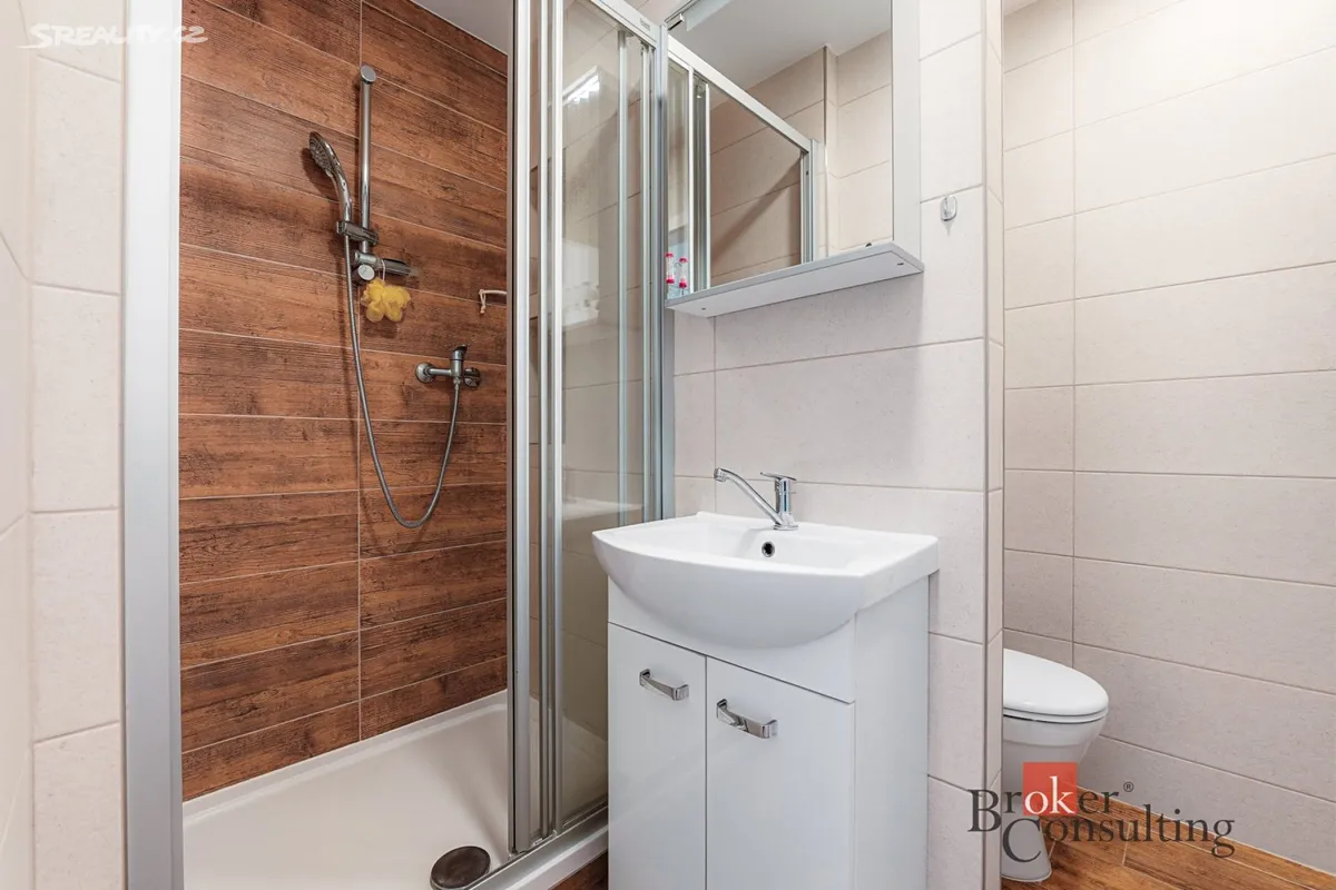 Pronájem bytu 1+1 39 m² – další