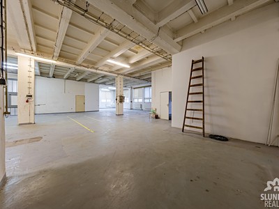Pronájem komerčního prostoru, 348 m² (2 z 10)
