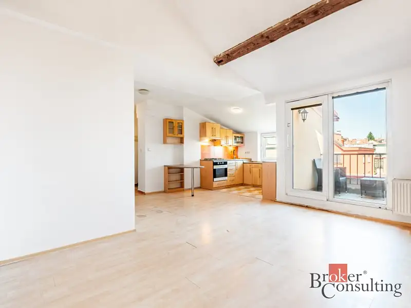 Prodej bytu 2+kk 56 m², Brno – náhled fotky 1