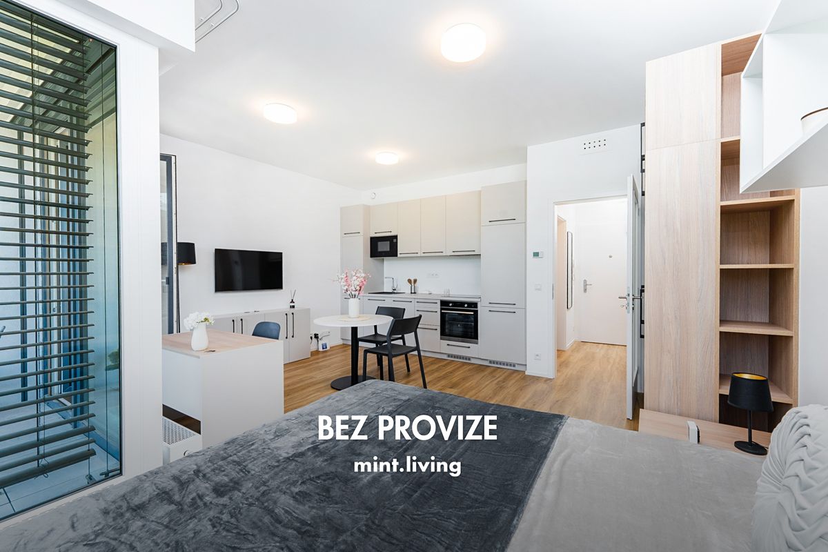 Pronájem bytu 1+kk 42 m²