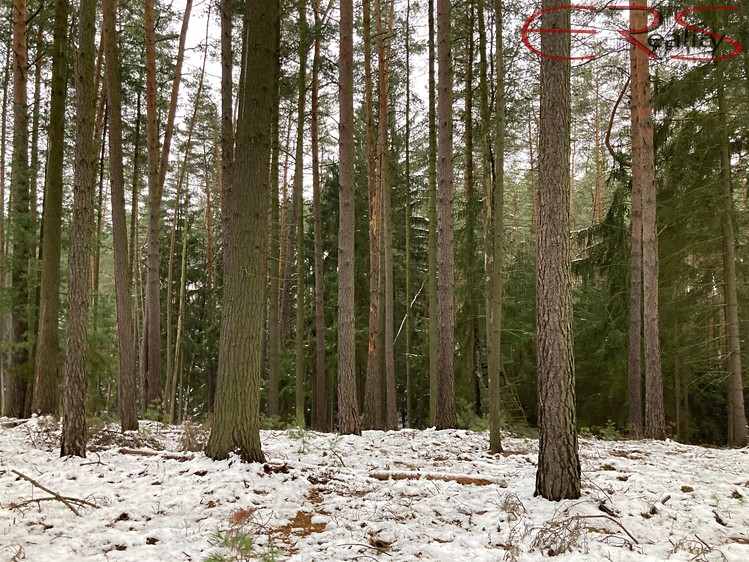 Ділянка на продаж, 162 122 м² (1 з 7)