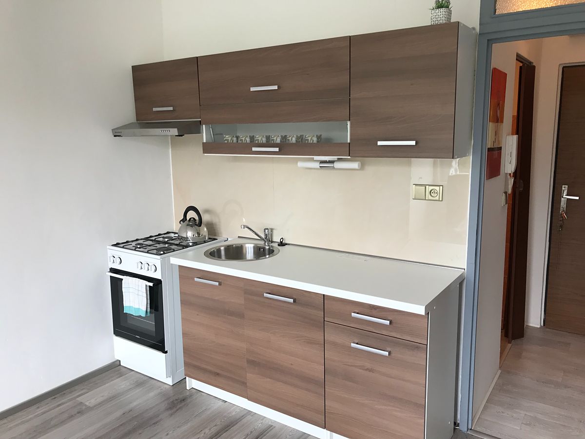 Pronájem bytu 1+1 40 m²