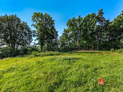 Prodej  pozemku 1 256 m²