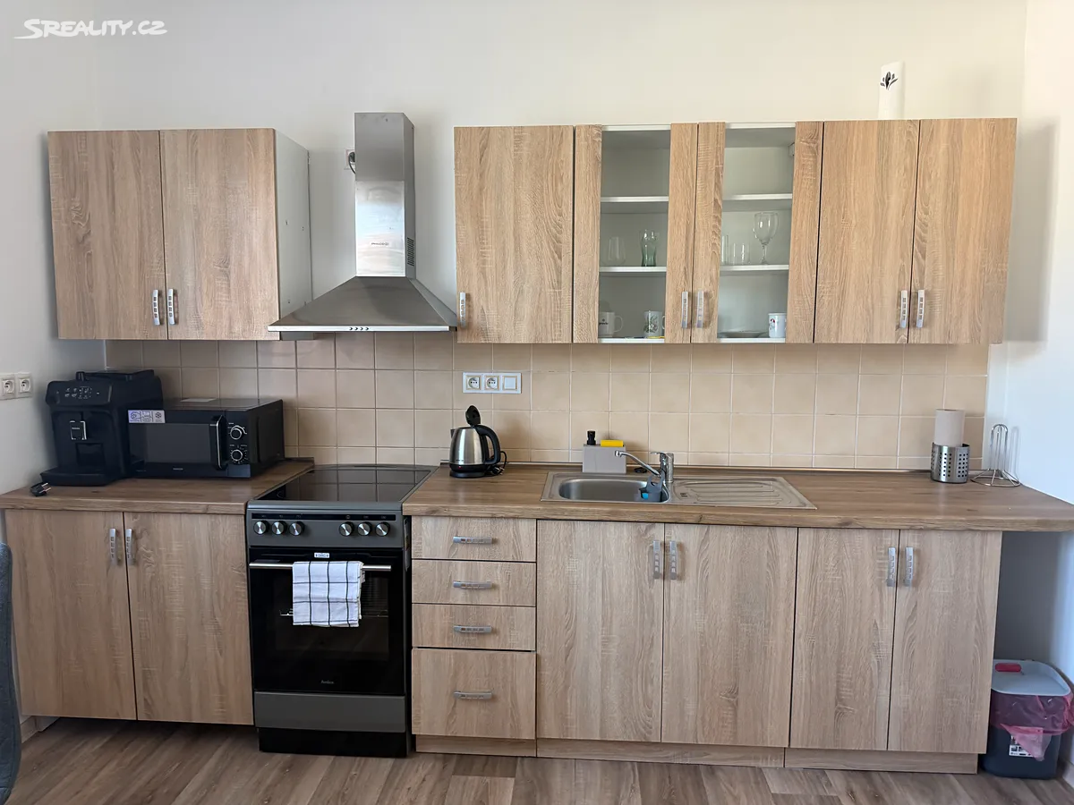 Pronájem bytu 1+1 55 m², Olomouc
