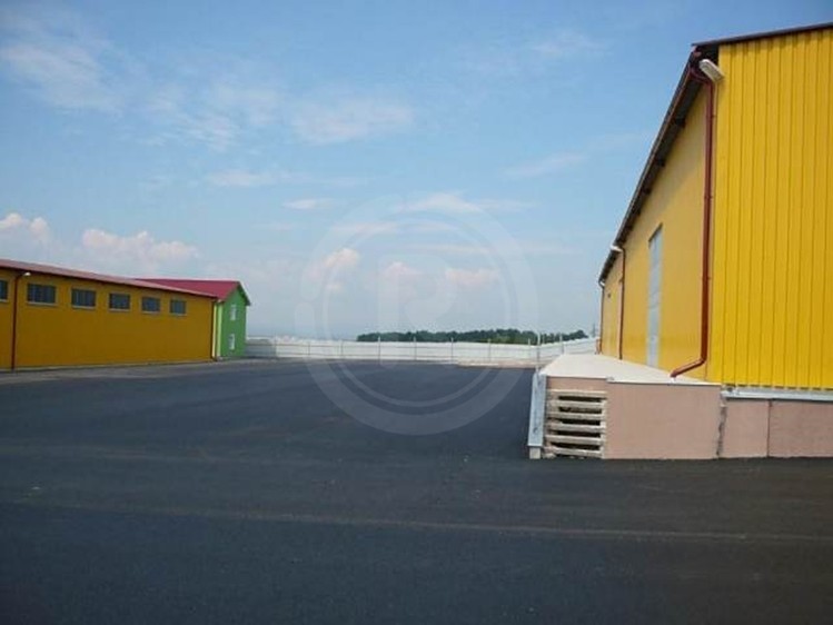 Gewerbefläche zur Miete, 6.850 m² (13 von 43)