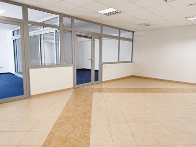 Gewerbefläche zur Miete, 265 m² (3 von 13)