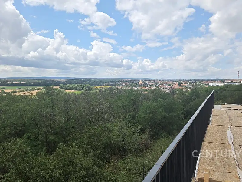Pronájem bytu 1+kk 31 m², Hodonice – náhled fotky 2
