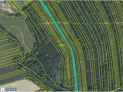 Prodej  lesa 4 786 m²
