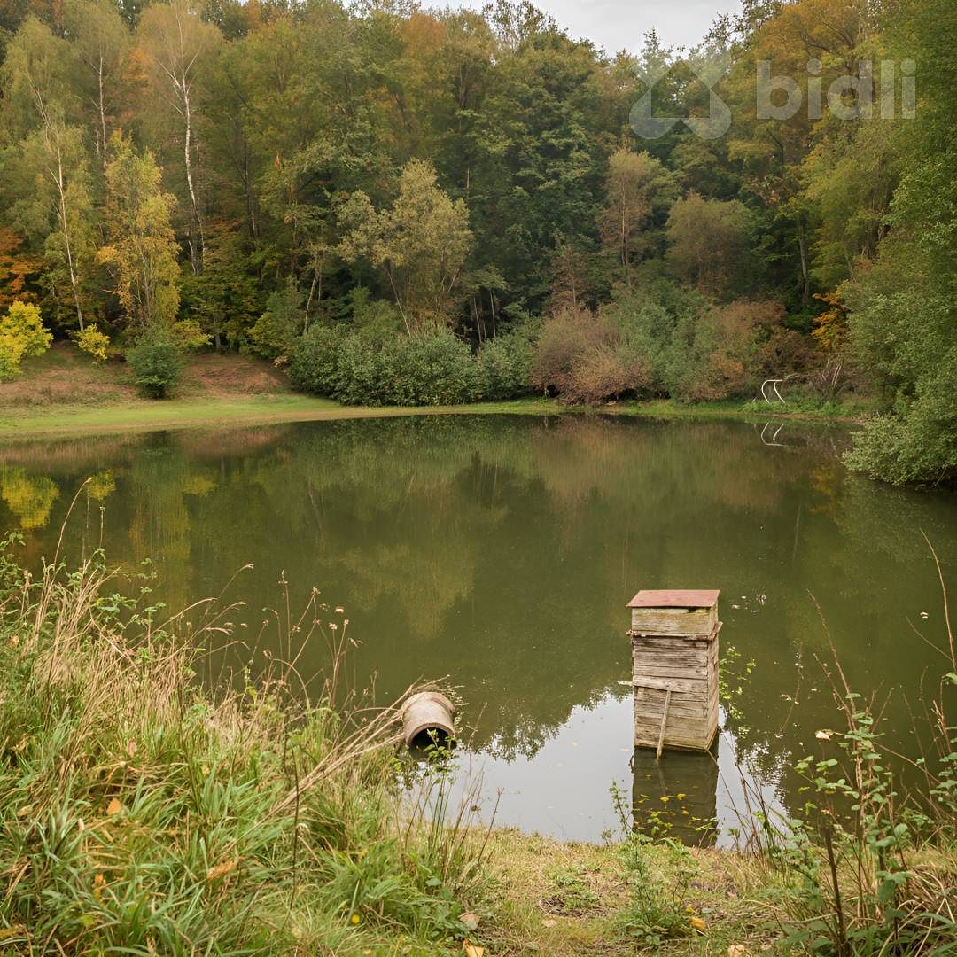 Prodej chaty 70 m², pozemek 489 m² – fotografie 4