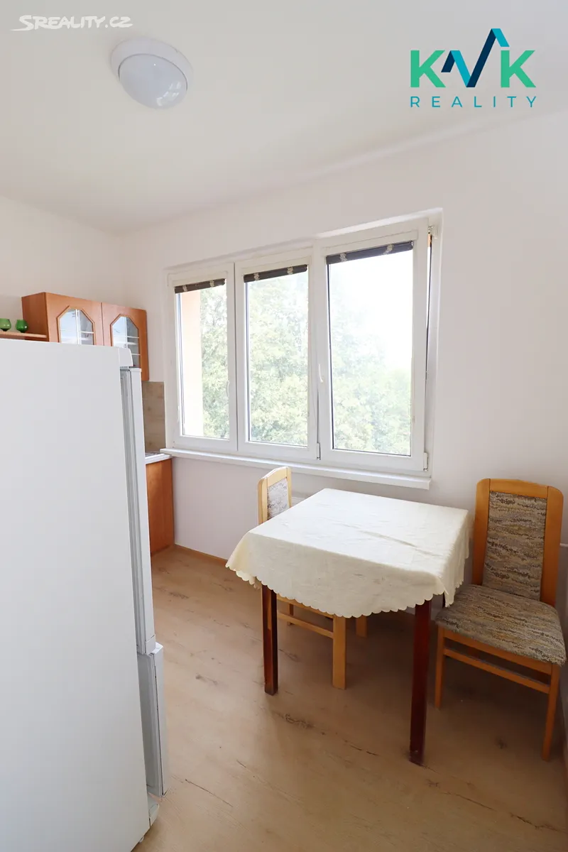 Pronájem bytu 2+1 53 m² – pohled 2