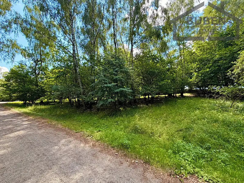 Prodej stavebního pozemku 4165 m², Planá – náhled fotky 2