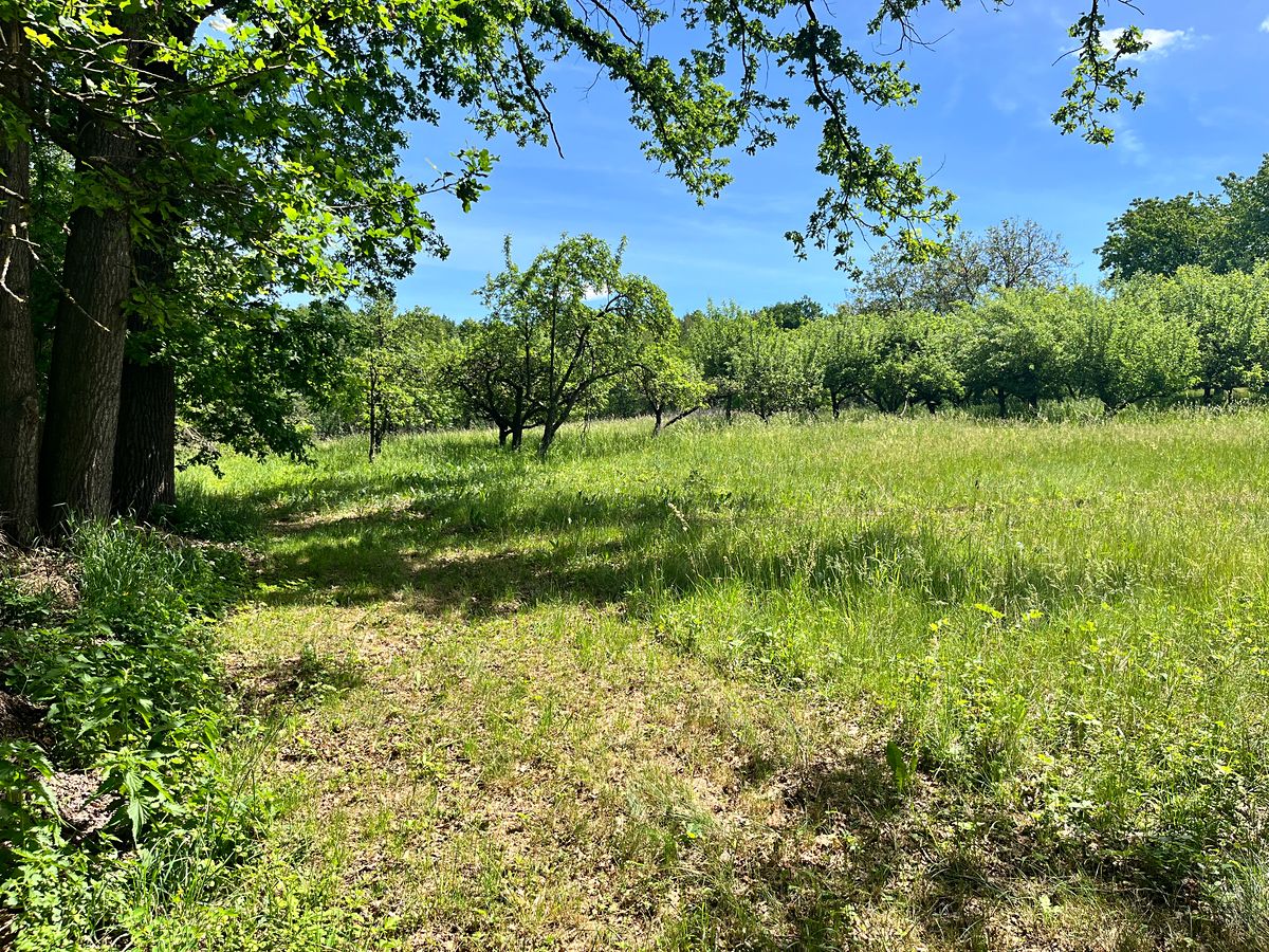Prodej stavebního pozemku 3155 m²