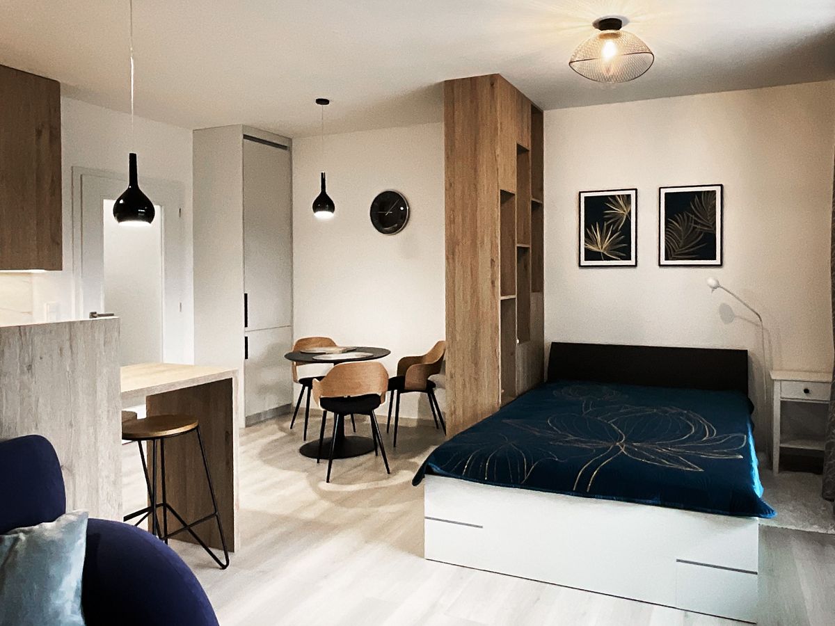 Pronájem bytu 1+kk 59 m²