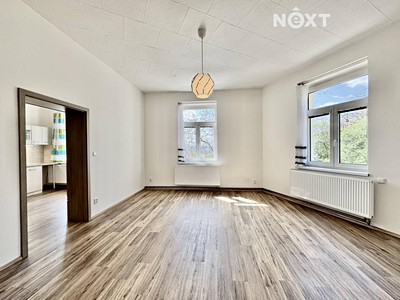 Pronájem bytu 1+1 55 m²