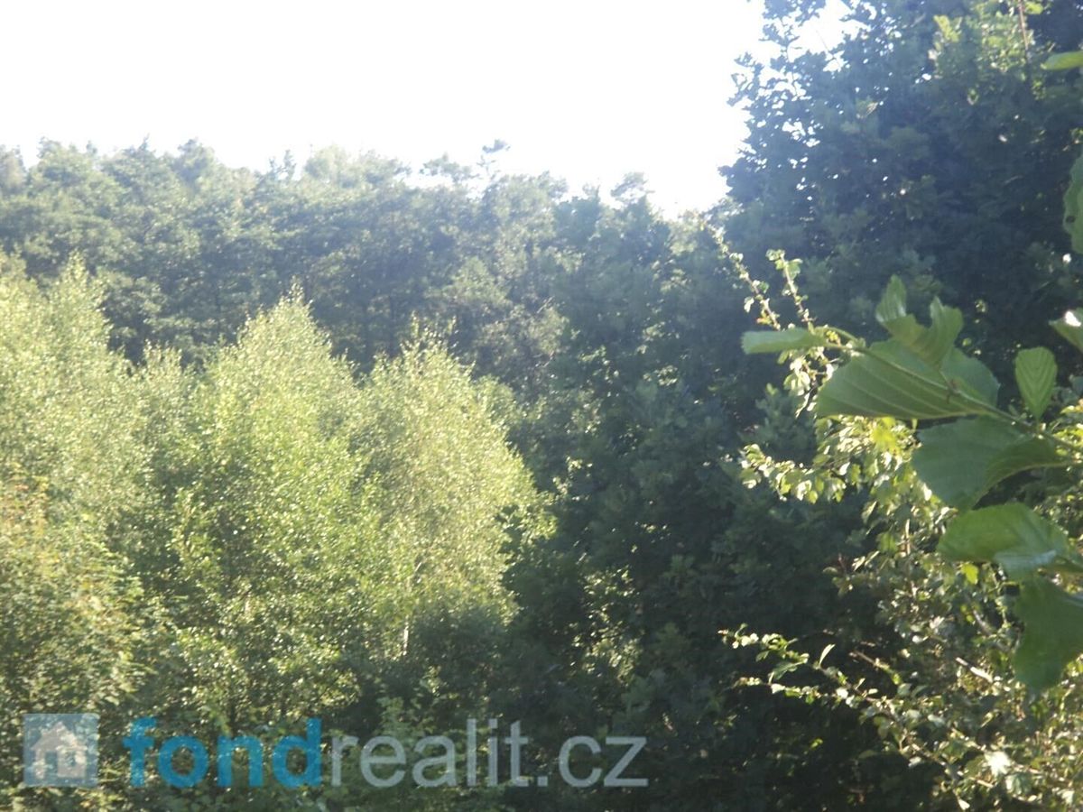 Prodej pozemku 2629 m² – fotografie 2