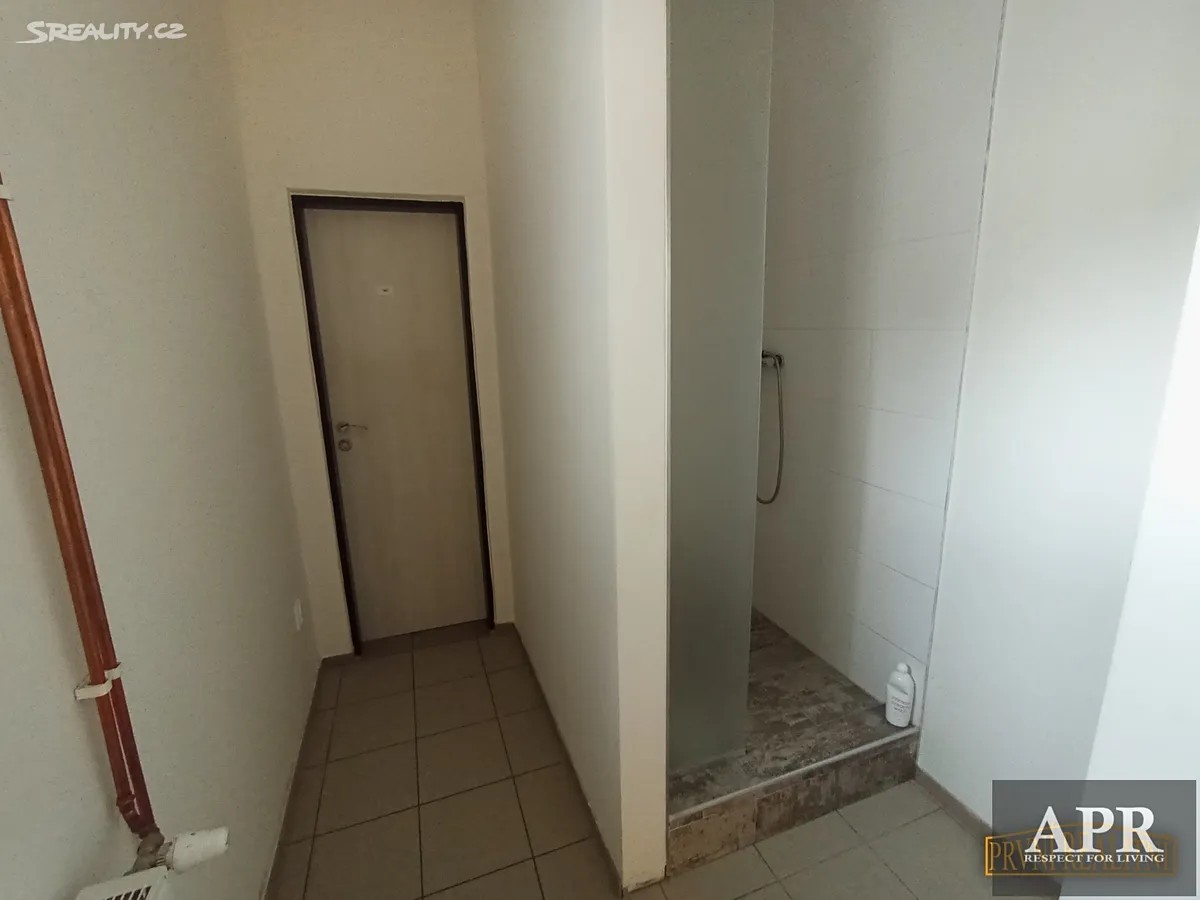 Pronájem obchodního prostoru 150 m² – další