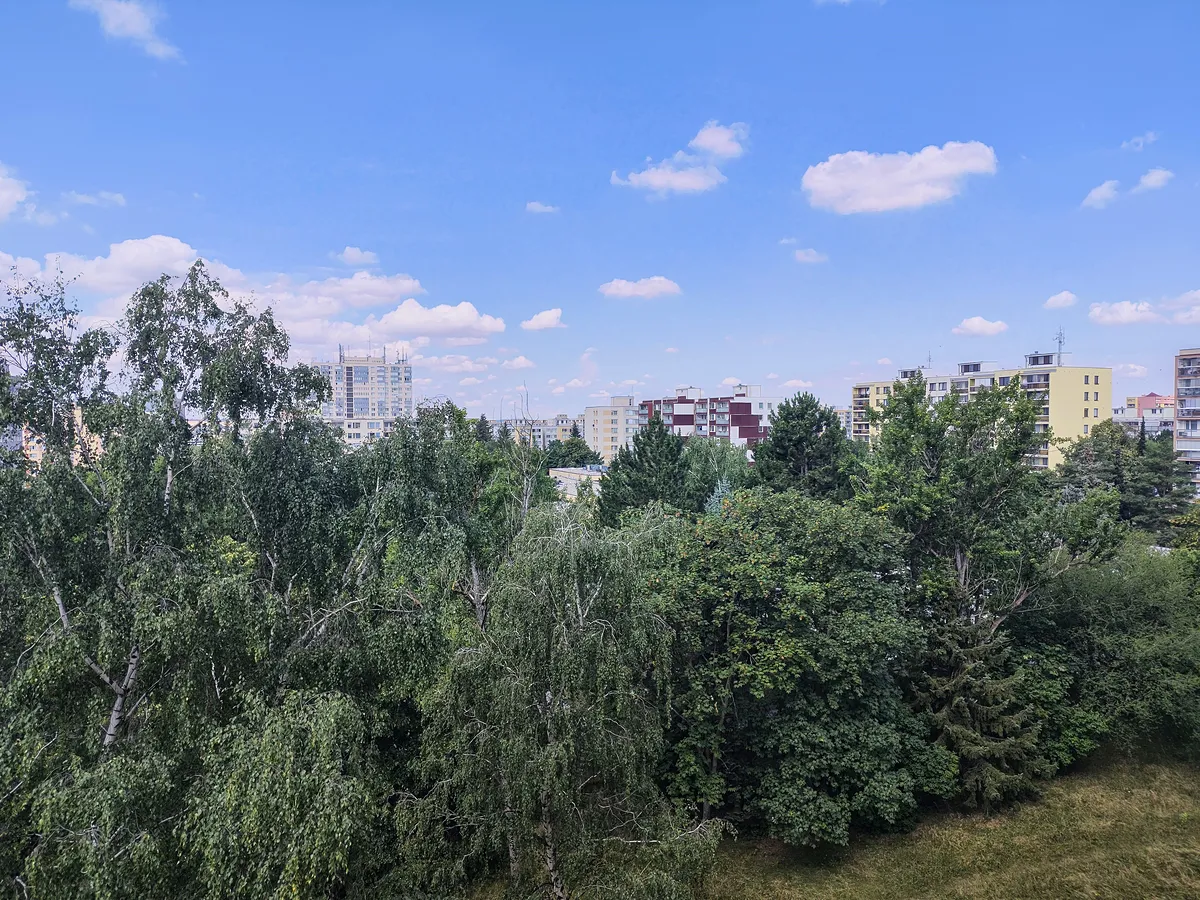 Fotka 9 z 12