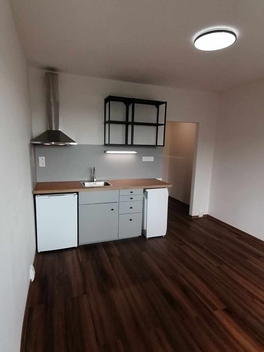 Pronájem bytu 1+kk 24 m²