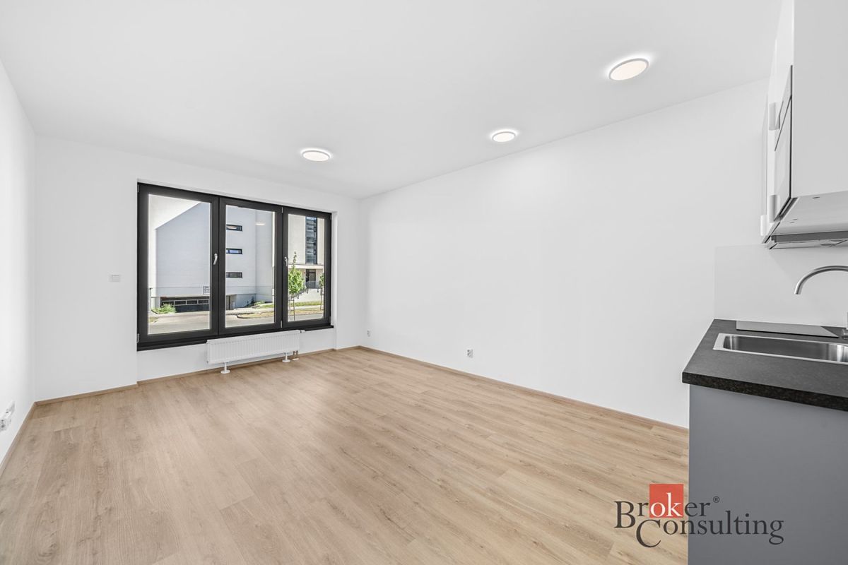 Pronájem bytu 1+kk 33 m²