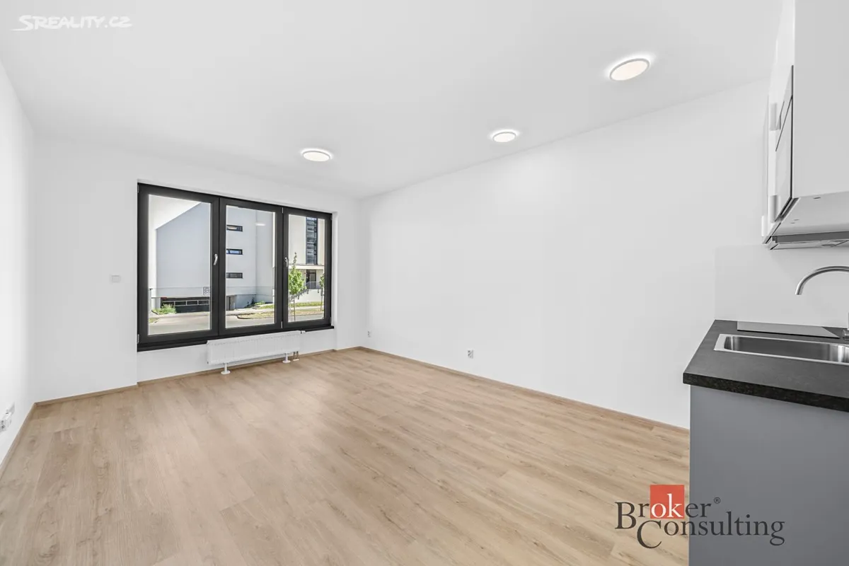 Pronájem bytu 1+kk 33 m², Plzeň