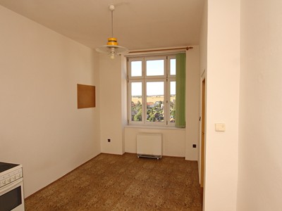 Pronájem bytu 1+1 42 m²