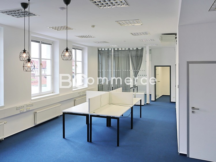 Pronájem komerčního prostoru, 149 m² (8 z 10)