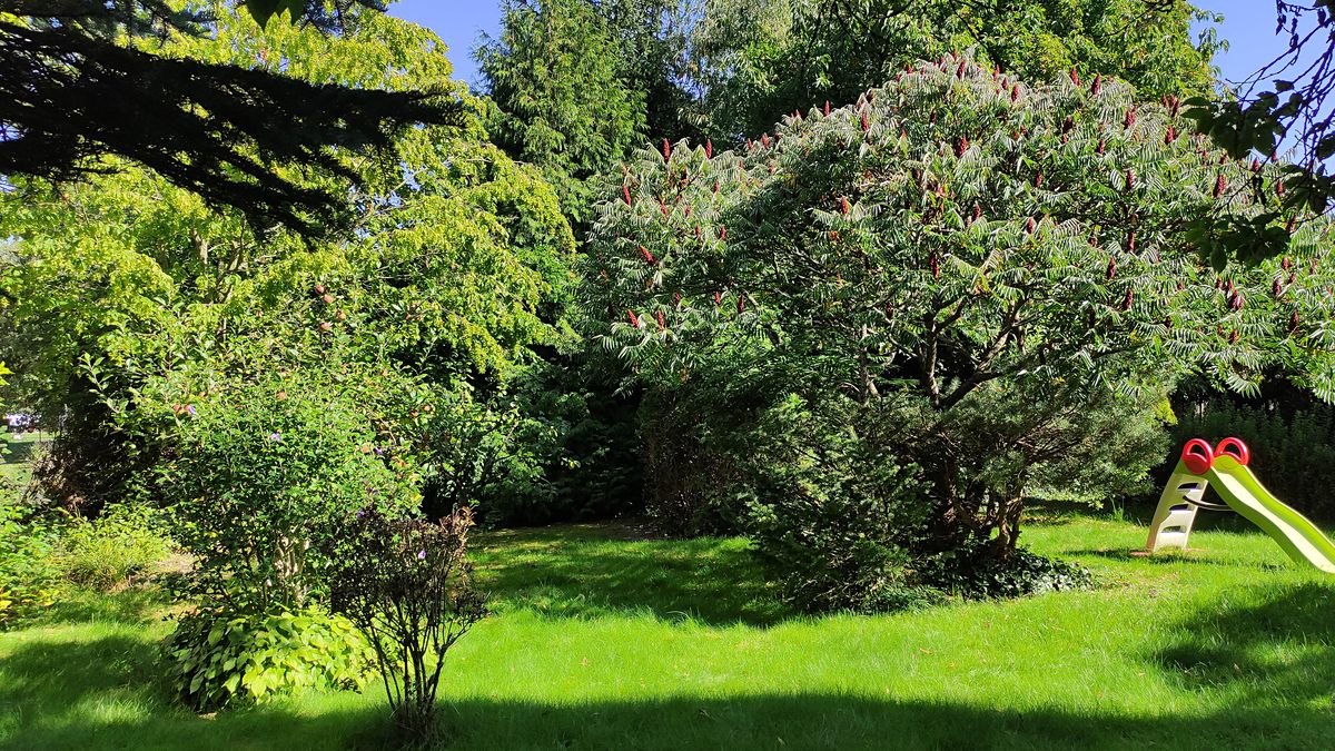 Prodej rodinného domu 166 m², pozemek 1040 m² – fotografie 5